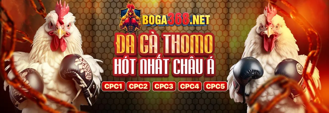 Trò chơi Video Slot